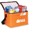 Boost Your Brand With Non-Woven Insulated Cooler Bags