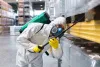 Best Pest Control in Gurgaon | Pest Control Near Me | 24x7 Pest Control