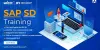 Why SAP SD Has Become the Most Popular SAP Module?