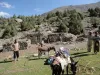 Rakaposhi &amp; Diran Base camp Trek - Shipton Tours Trekking &amp; Expeditions