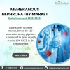 Rare Kidney Diseases Market