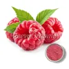 red raspberry leaf powder, bulk red raspberry leaf powder