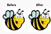Raster to Vector conversion and clipping path service