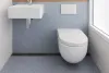 Select On The Flushing Toilet For The Home of Yours