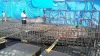 RCC Detailing Training In Ameerpet - Omegacad