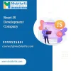 React js development Solutions