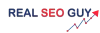 What is SEO? - The Real SEO Guy