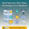 real-success-how-data-cleansing-grew-business.jpg