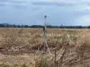Real Time Water Level Monitoring 