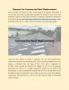 Reasons for Commercial Roof Replacement