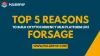 Top 5 Reasons to Build Cryptocurrency MLM Platform like Forsage