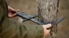 Unveiling the Secrets of Expert Tree Trimming Services in Las Vegas!
