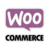 woocommerce website development Services