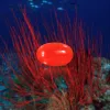 Buy Coral (Moonga) Gemstone Online – Navratan.com