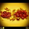 Red Coral Stone Benefits