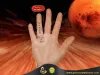 Red Coral Stone Wearing Finger