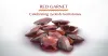 Red Garnet Stone | Garnet Stone vs Ruby | Substitute of Ruby Stone