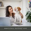 PDSC - ESA blog | Emotional support animal