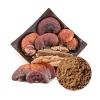 reishi mushroom, mushroom powder, organic reishi mushroom powder, reishi extract powder, wholesale bulk herbs, organic herbs wholesale, food industry, organic foods