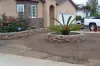 Tree Service in Sacramento, Tree cutting in Los Angeles