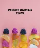 best diabetic diet plan
