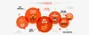 WordPress development