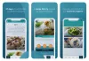  Best Diet and Nutrition Apps: Market Leaders and Their Features 