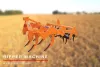 ripper machine