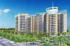 Rise Organic Homes