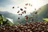 Climate change: Emmanuel Katto's vision to protect coffee farming