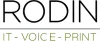 Microsoft Consulting Services | RODIN Business Solutions