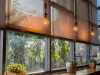 Transform Your Room's Ambiance With Practical Roller Shades