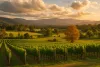 romantic-getaways-915x610.png