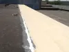 Roof Coating Service in Round Rock, TX