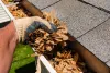 How a Gutter Cleaning Can Save You Lots Of Money?