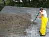 roof_moss_cleaning_tacoma_wa.jpg