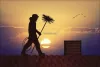 Washington Chimney Sweep