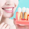 What All Things Should Be Considered While Locating Walk-In Dental Clinic?
