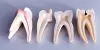Best Dental Clinic in Dwarka | Top Dentist in Dwarka Delhi