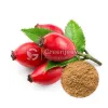 organic rose hips powder, rose hips powder, bulk rose hips powder