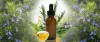 All About Rosemary Essential Oil – Pure Oils India 