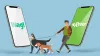 Which is the Best Dog Walking App: Rover or Wag