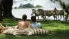 Royal Livingstone Hotel | Royal Livingstone Hotel by Anantara
