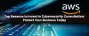 Protecting Your AWS Assets: How Penetration Testing Can Help - i Business Day