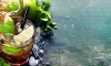 Best Spirits and Finest Rums at SeaSpirits Distillery Woodinville, Redmond