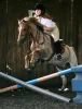 Horse Riding in London and Essex | High Beech Riding School