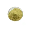 Rutin Extract Manufacturer