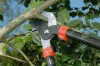 Tree Trimming and Tree Removal Services in Atlanta