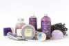 Herbal Cosmetic Market Analysis by Top Brands (Burberry, AVON Beauty Products, Chanel, Clarins, LâOral, P&G, Shiseido, Unilever, Beiersdorf, Amway), Trends, Demand & Forecast by 2025 - openPR