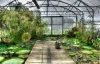 Commercial Greenhouse Market 2019 Analysis by Agra Tech, Lumigrow, Certhon, Logiqs, Argus Control Systems, Richel Group, Nexus Corporation, Hort Americas, Heliospectra) Demand and Forecast by 2026 - openPR